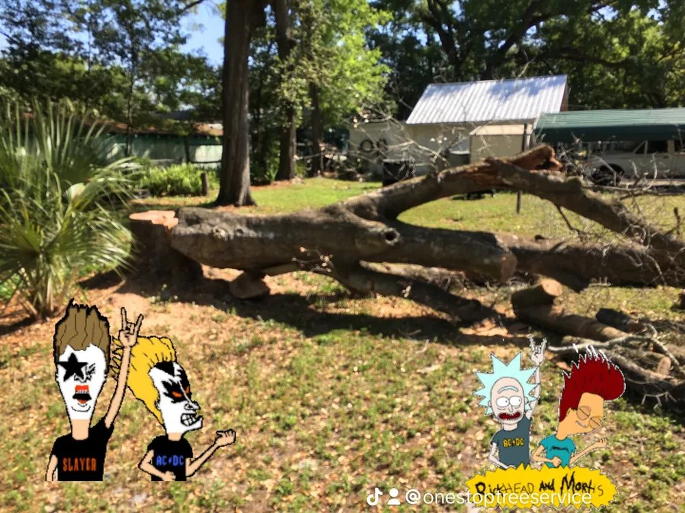 Custom landscape installation in Tampa, FL - One Stop Tree Service