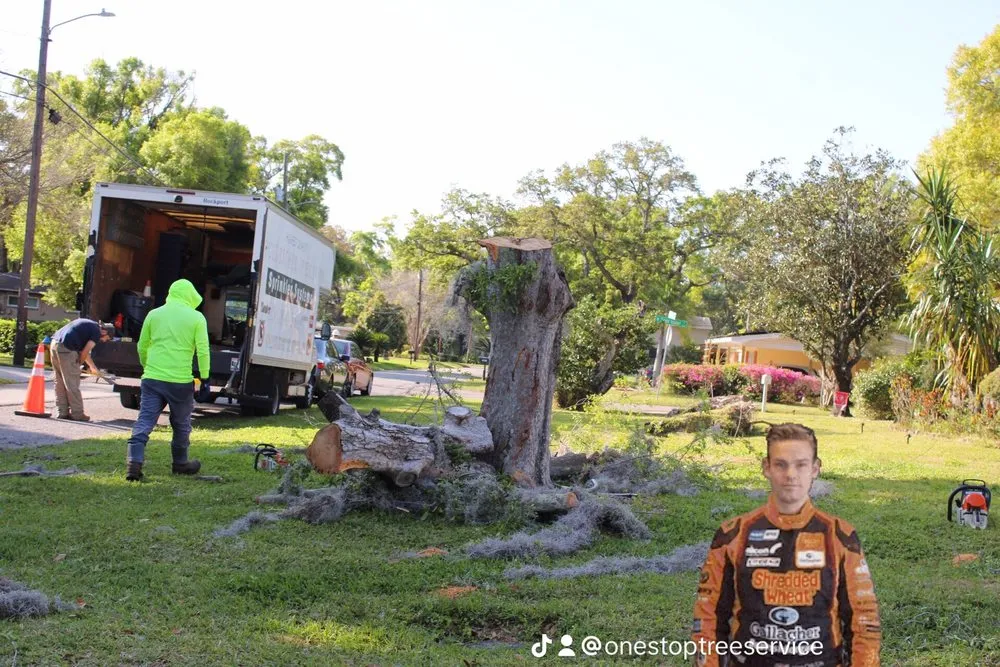 Expert lawn care service in Tampa, FL - One Stop Tree Service