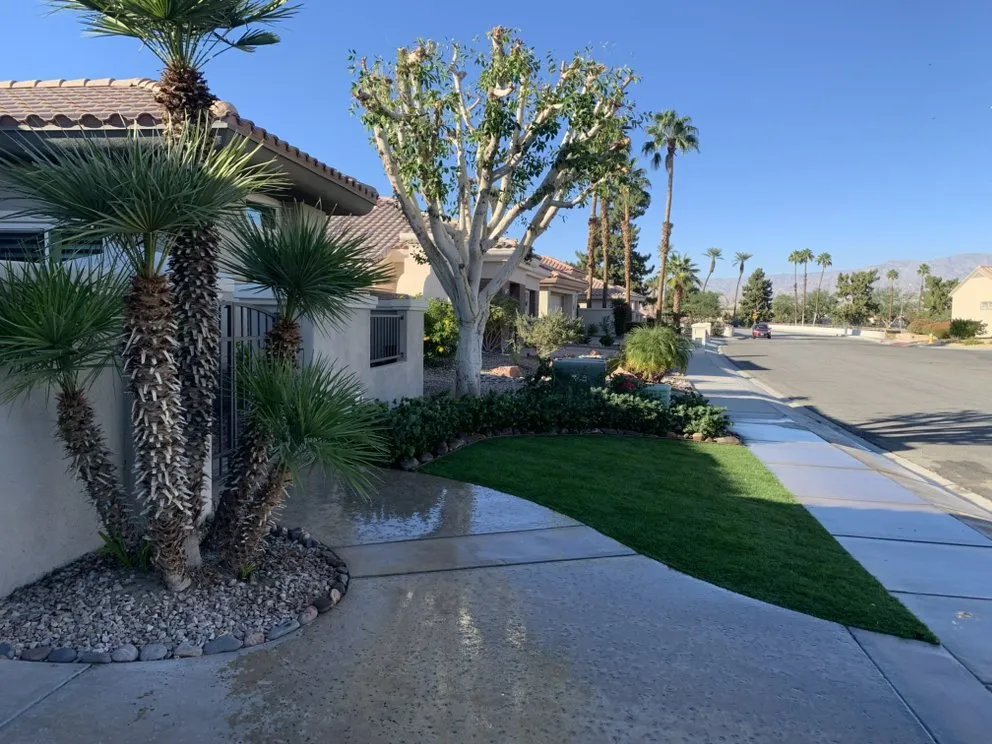 Expert landscape design near you across Palm Desert, CA - One Team Property