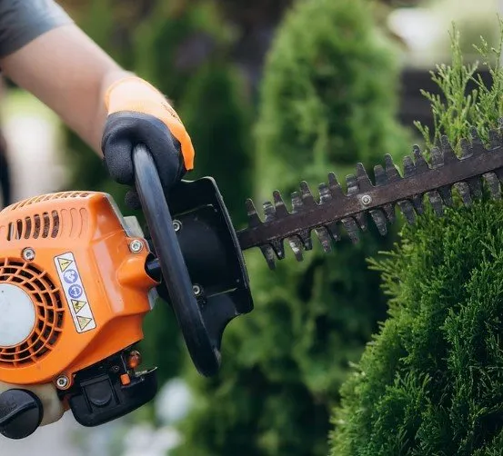 Top-rated yard cleanup service in Palm Desert, CA - One Team Property