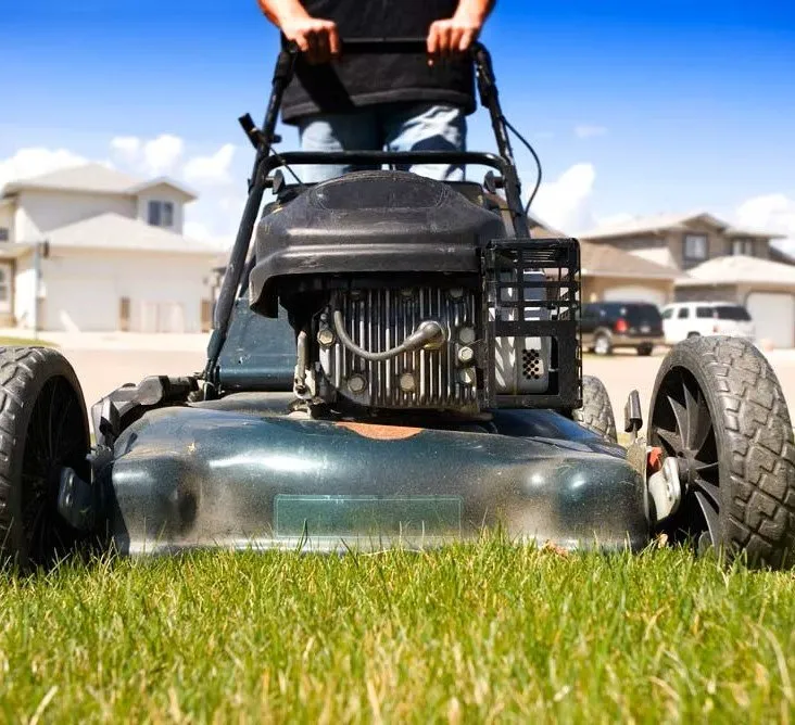 Local yard maintenance near you in Palm Desert, CA by One Team Property