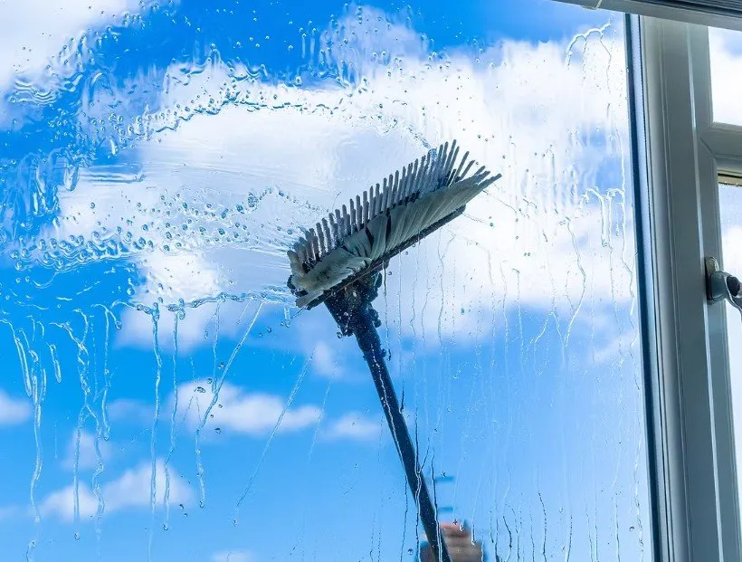 Local garden landscaping for year-round maintenance across Palm Desert, CA - One Team Property