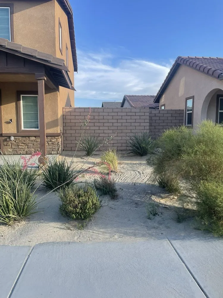 Professional outdoor landscaping for homes in Palm Desert, CA by One Team Property
