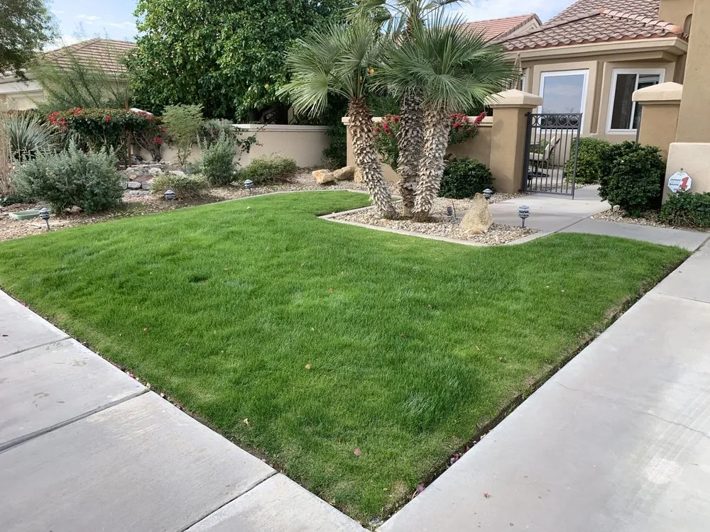 Custom garden landscaping for year-round maintenance in Palm Desert, CA by One Team Property
