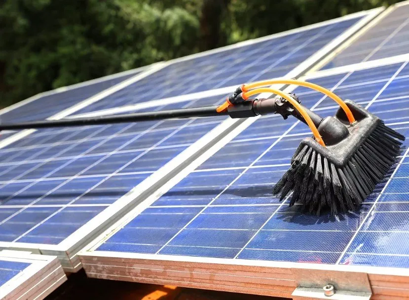 Professional yard maintenance in Palm Desert, CA - One Team Property