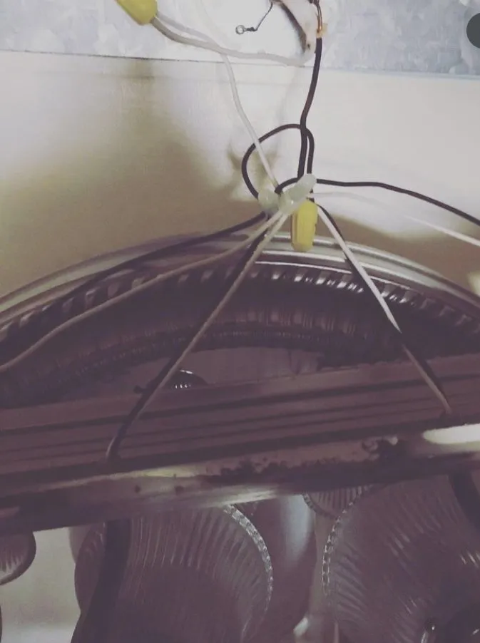 Reliable lawn mowing service near you in Silver Spring, MD by One Time Handyman