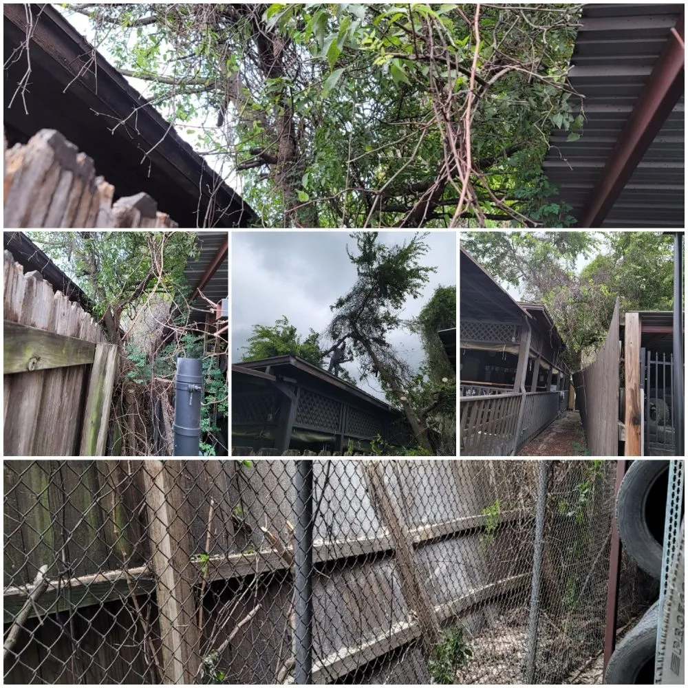 Affordable yard maintenance in Houston, TX - One Touch Cleaning Service