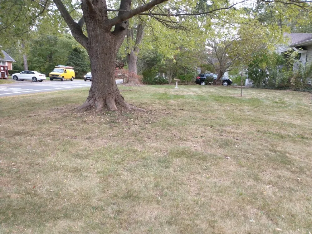 Trusted yard maintenance in Jackson Township, NJ by One Touch Landscaping