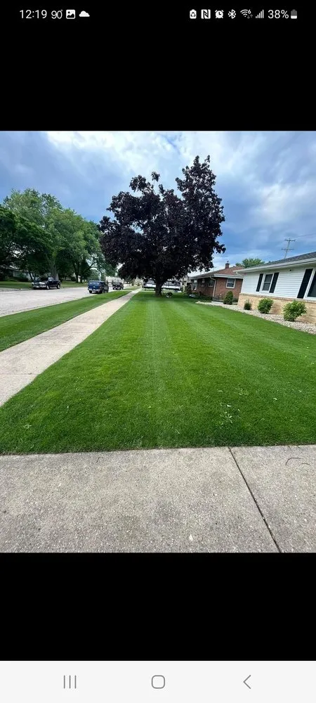 Local yard cleanup service in Oklahoma City, OK by One Touch Performance