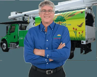 Reliable residential landscaping for year-round maintenance in Miami, FL by One Two Tree