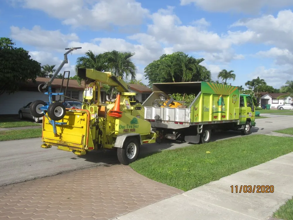 Expert outdoor landscaping experts serving Miami, FL - One Two Tree
