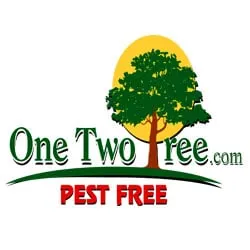 Reliable outdoor landscaping near you across Miami, FL - One Two Tree