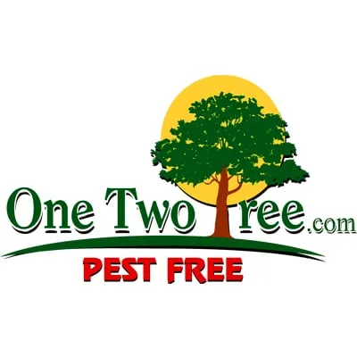 Custom lawn care service with custom design in Miami, FL by One Two Tree
