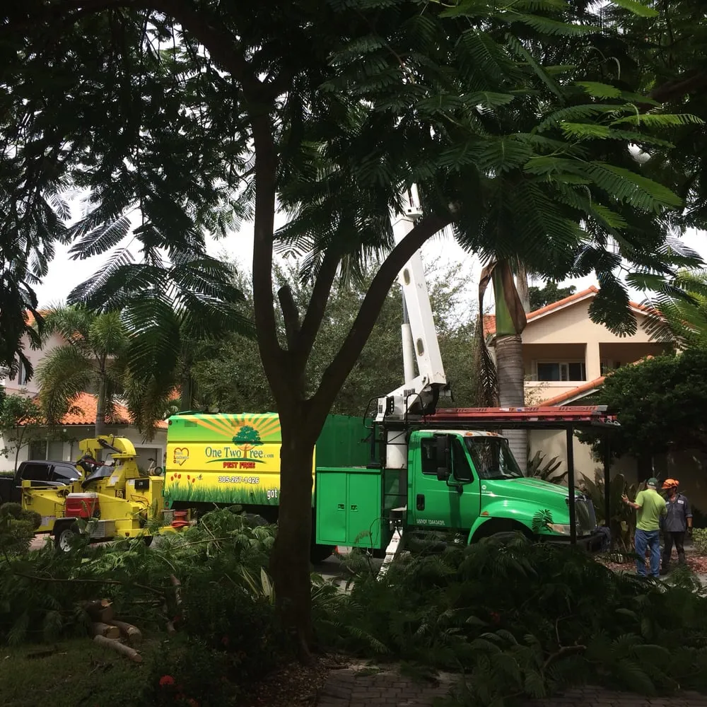 Reliable residential landscaping in Miami, FL by One Two Tree