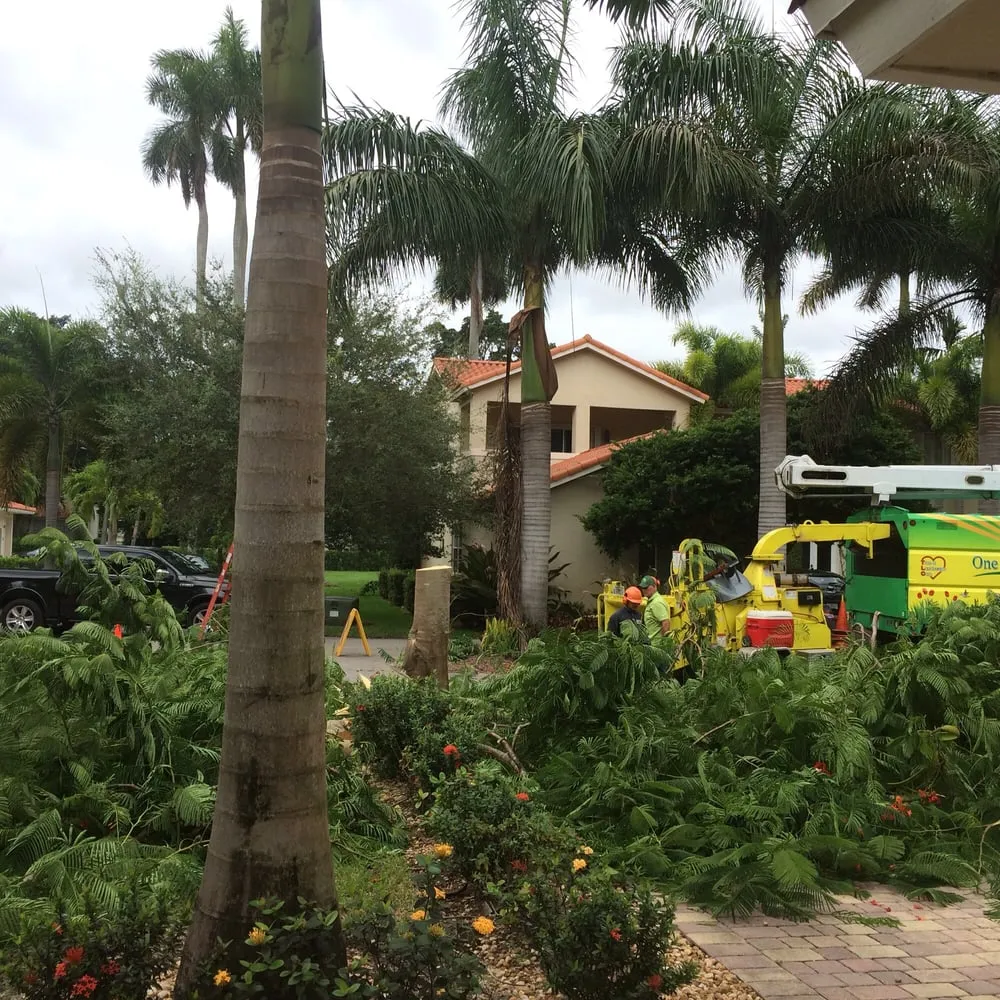 Affordable landscape installation in Miami, FL by One Two Tree