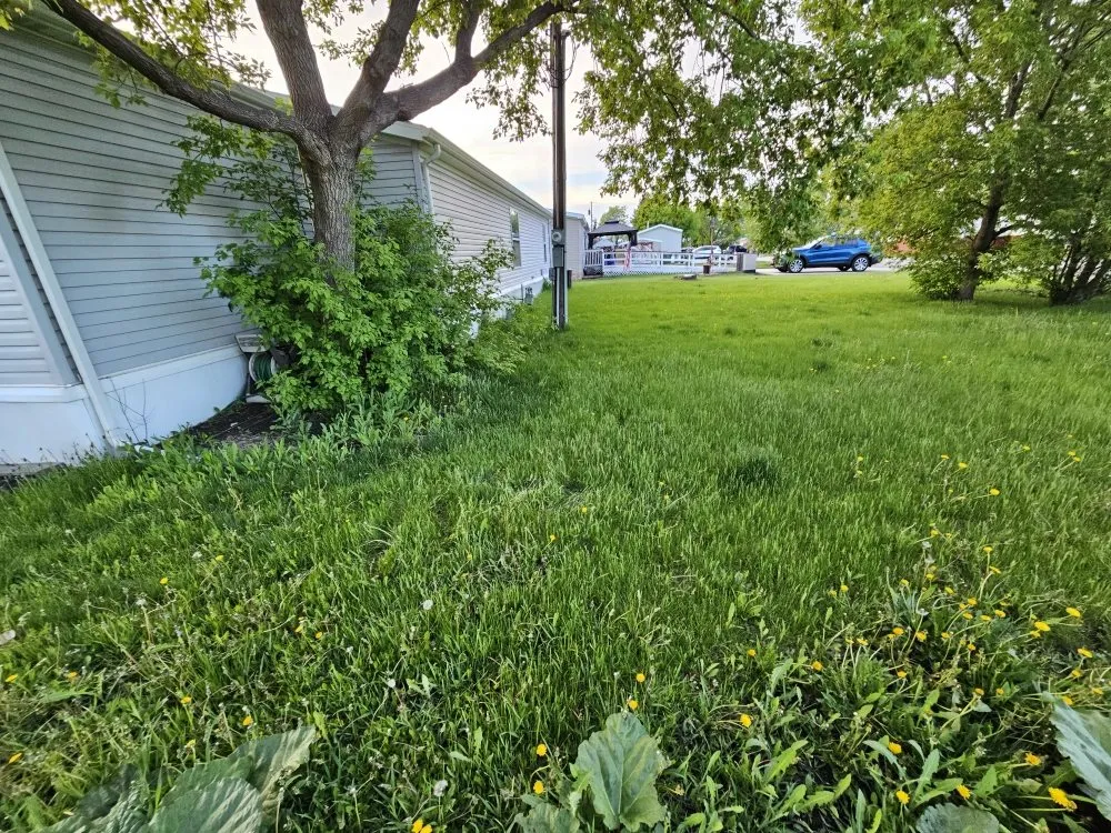 Professional yard maintenance with custom design across West Fargo, ND - One Universal Lawn Service