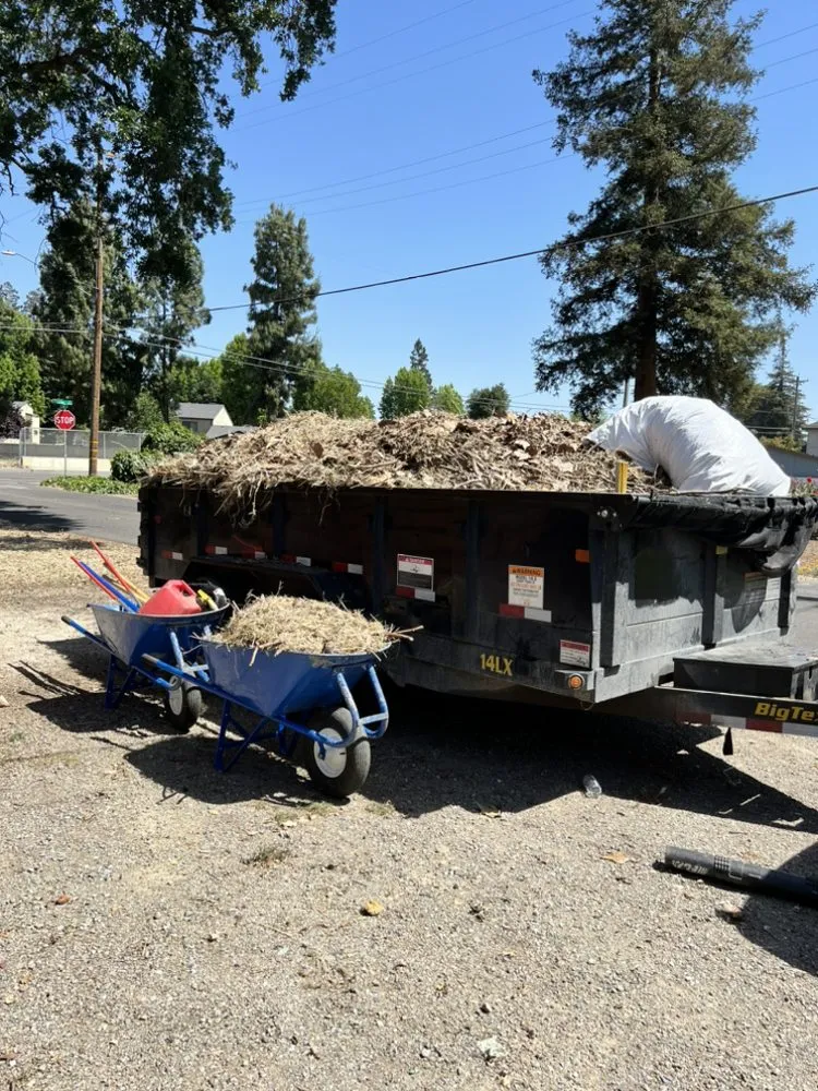 Expert landscape design experts serving Lodi, CA - One Vision Landscape Maintenance
