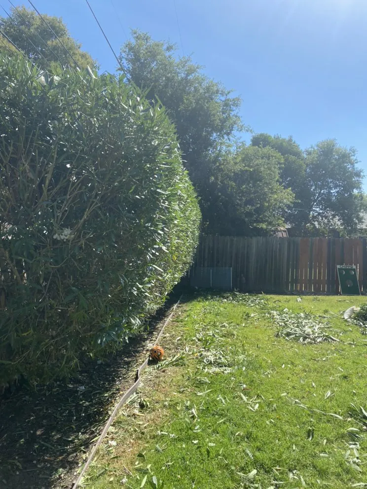 Reliable lawn mowing service for outdoor upgrades in Lodi, CA by One Vision Landscape Maintenance