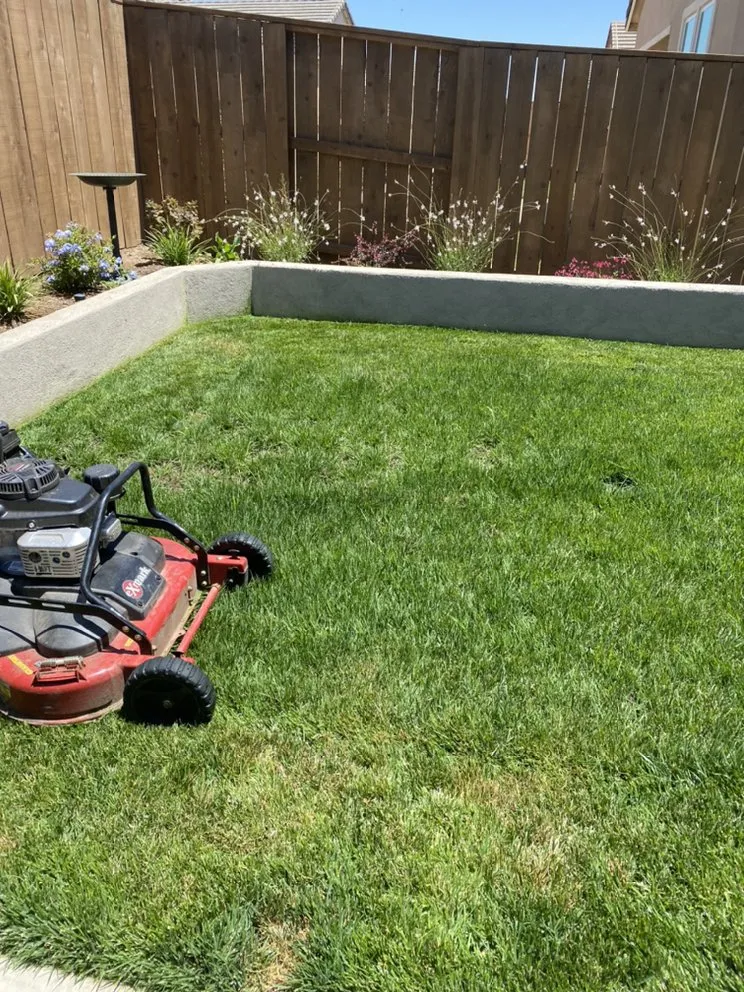 Affordable yard cleanup service experts serving Lodi, CA - One Vision Landscape Maintenance