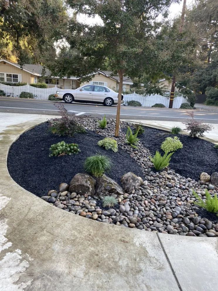 Top-rated yard cleanup service in Lodi, CA by One Vision Landscape Maintenance