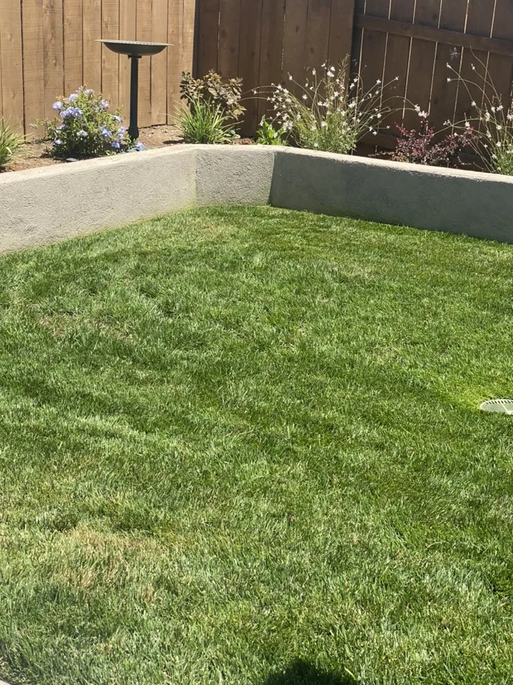 Reliable landscaping services for homes in Lodi, CA by One Vision Landscape Maintenance