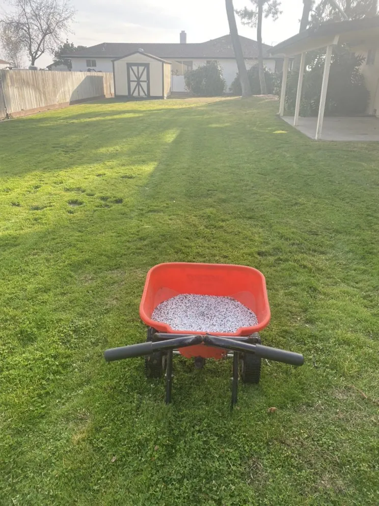 Reliable landscaping services in Lodi, CA - One Vision Landscape Maintenance
