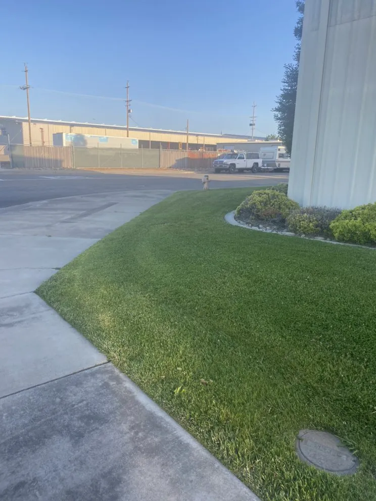 Local landscape design for homes across Lodi, CA - One Vision Landscape Maintenance