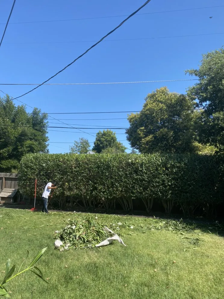 Reliable landscape installation for homes across Lodi, CA - One Vision Landscape Maintenance