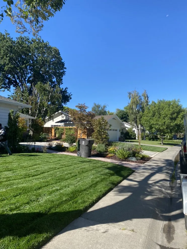 Top-rated landscaping services in Lodi, CA by One Vision Landscape Maintenance