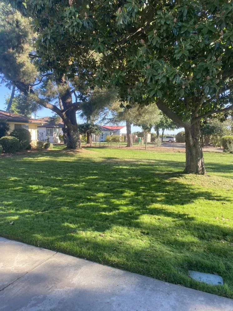 Top-rated landscape installation experts serving Lodi, CA - One Vision Landscape Maintenance
