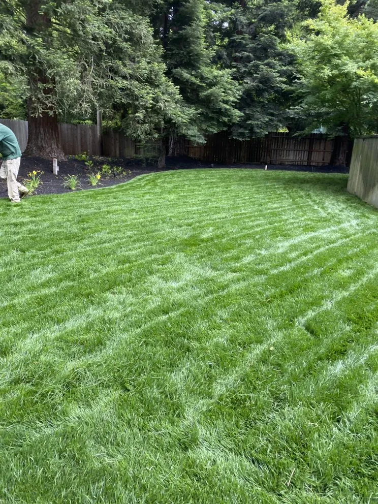 Local residential landscaping in Lodi, CA - One Vision Landscape Maintenance
