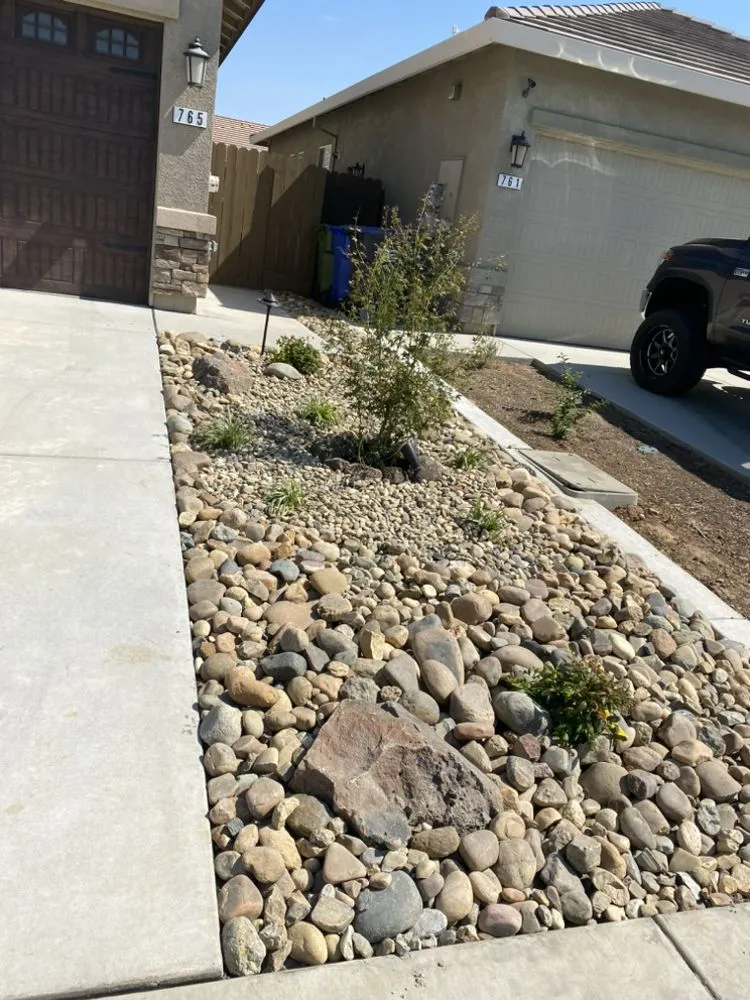 Local yard cleanup service for residential properties in Lodi, CA by One Vision Landscape Maintenance