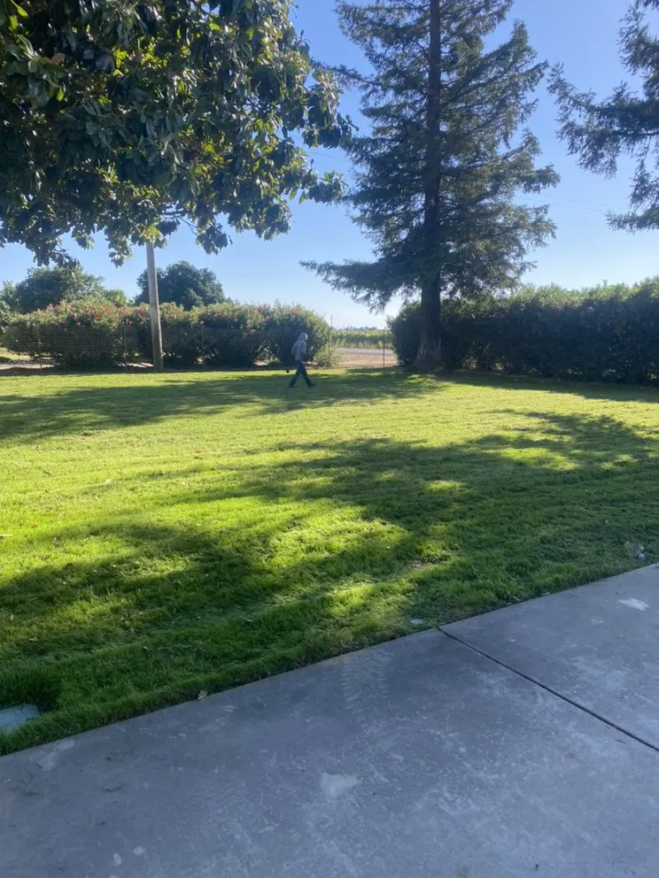 Trusted landscaping services in Lodi, CA by One Vision Landscape Maintenance