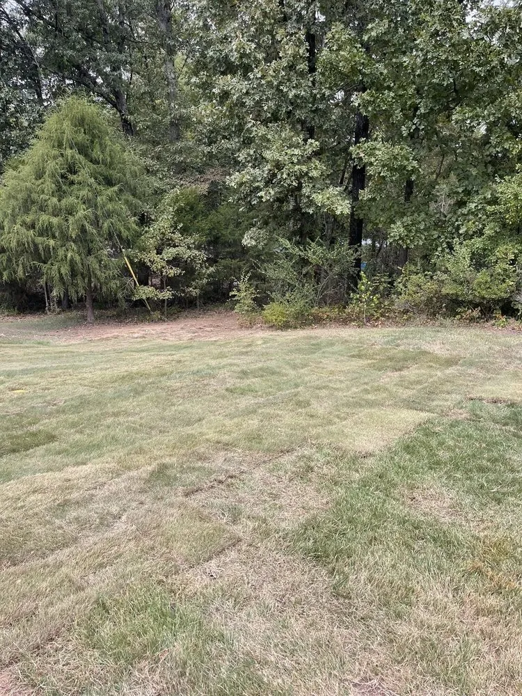 Expert yard cleanup service for outdoor upgrades in Coldwater, MS by One Way Lawn Care
