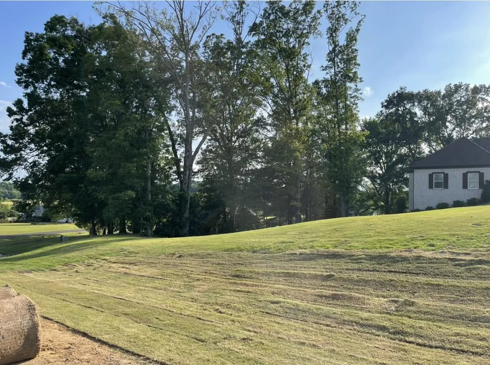 Affordable outdoor landscaping in Coldwater, MS by One Way Lawn Care