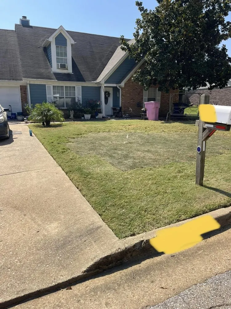 Affordable lawn mowing service for year-round maintenance in Coldwater, MS by One Way Lawn Care