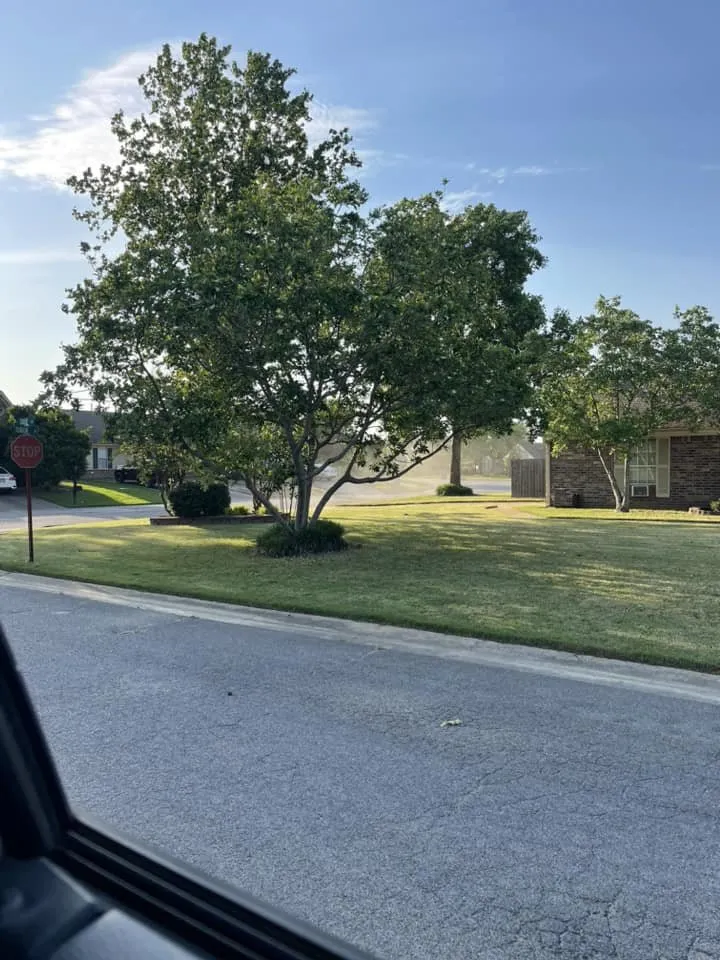 Expert residential landscaping experts serving Coldwater, MS - One Way Lawn Care