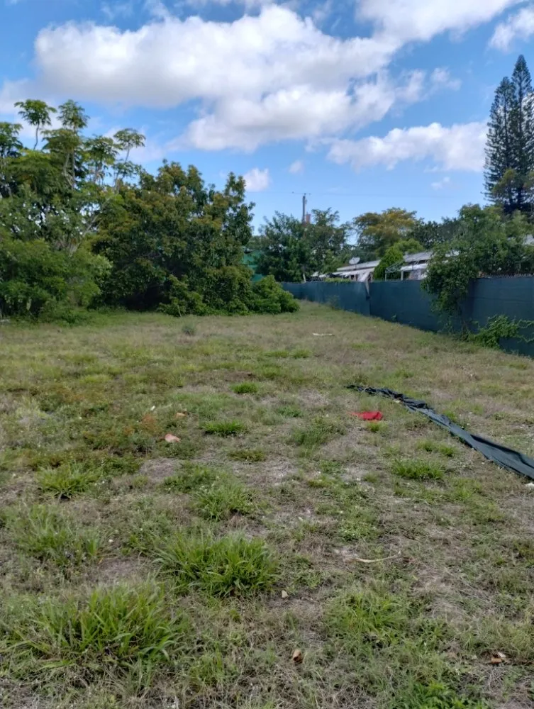 Top-rated landscape design in Miami, FL - One Way Lawn Care