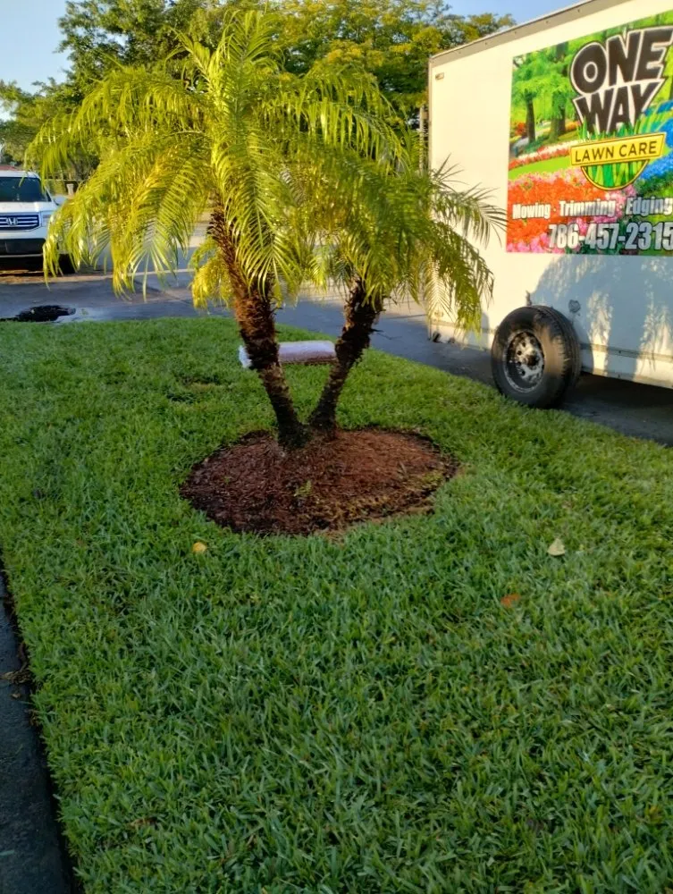 Expert residential landscaping in Miami, FL - One Way Lawn Care
