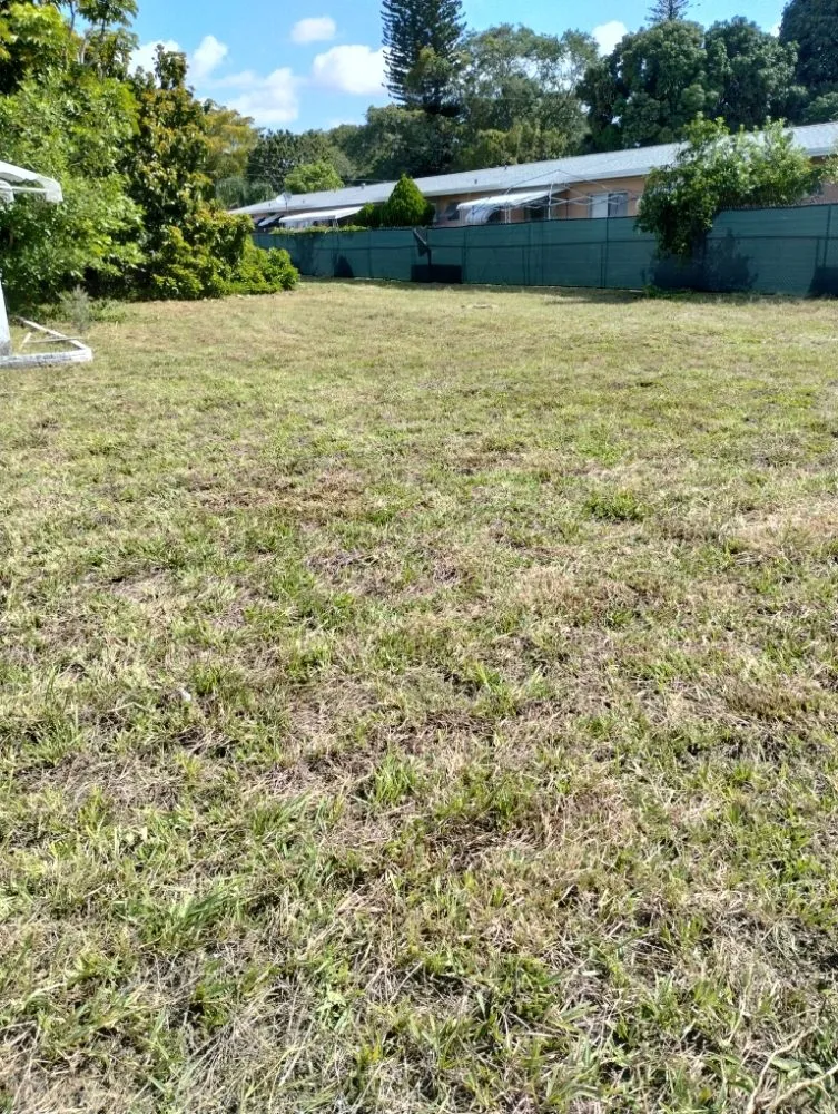 Professional yard cleanup service for year-round maintenance across Miami, FL - One Way Lawn Care