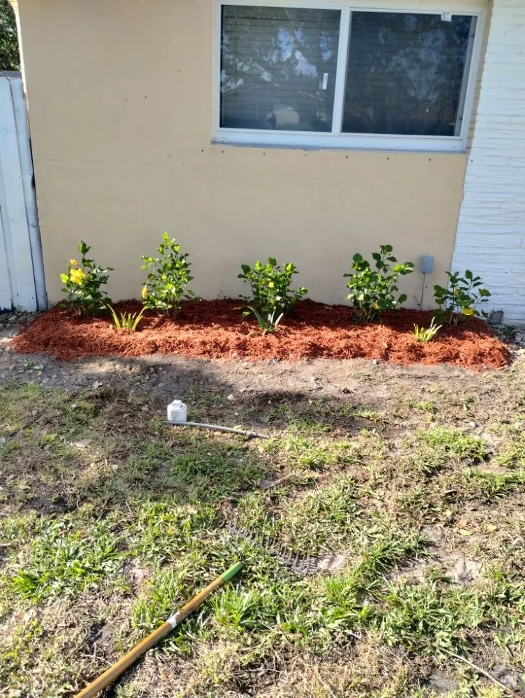 Top-rated landscape design in Miami, FL by One Way Lawn Care