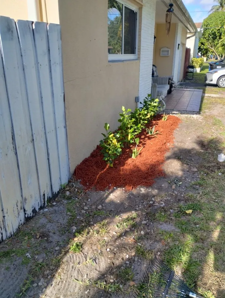 Custom outdoor landscaping in Miami, FL by One Way Lawn Care