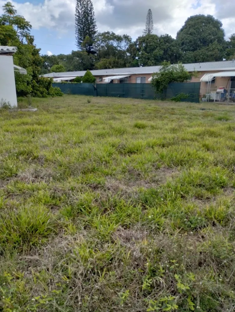 Local landscape design in Miami, FL - One Way Lawn Care