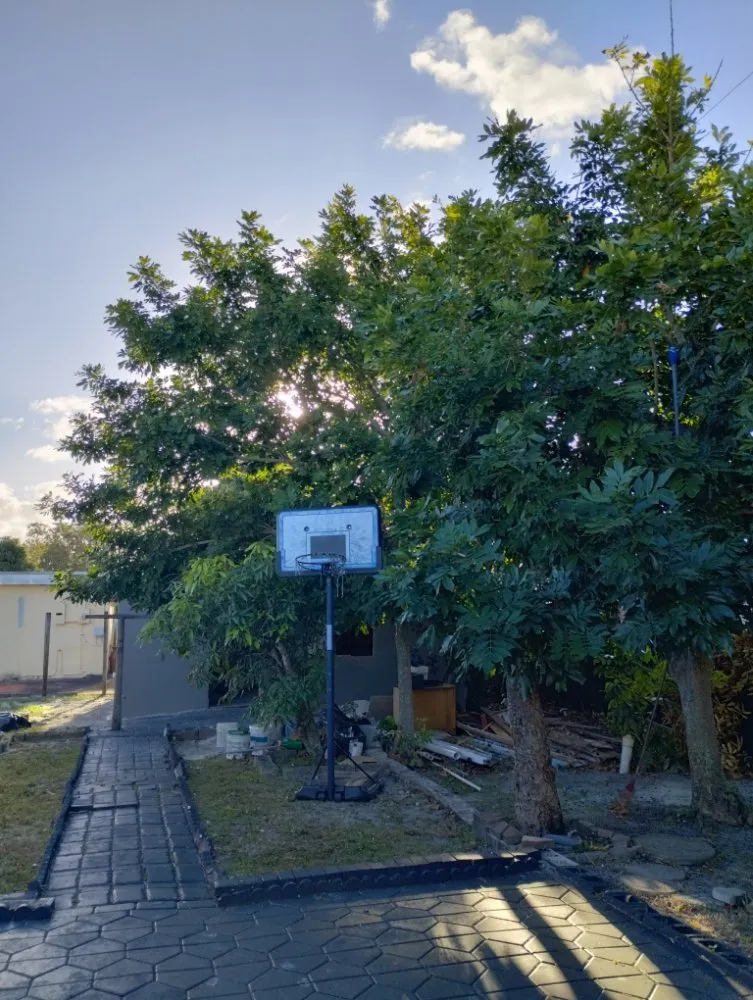 Local residential landscaping in Miami, FL - One Way Lawn Care