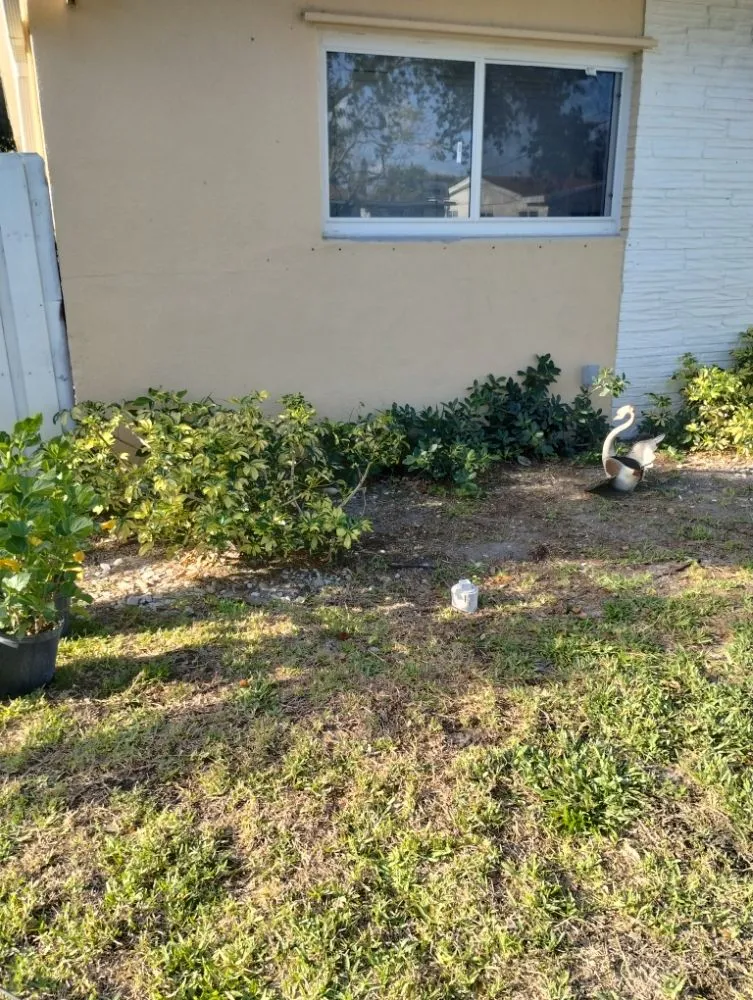 Professional lawn care service in Miami, FL - One Way Lawn Care