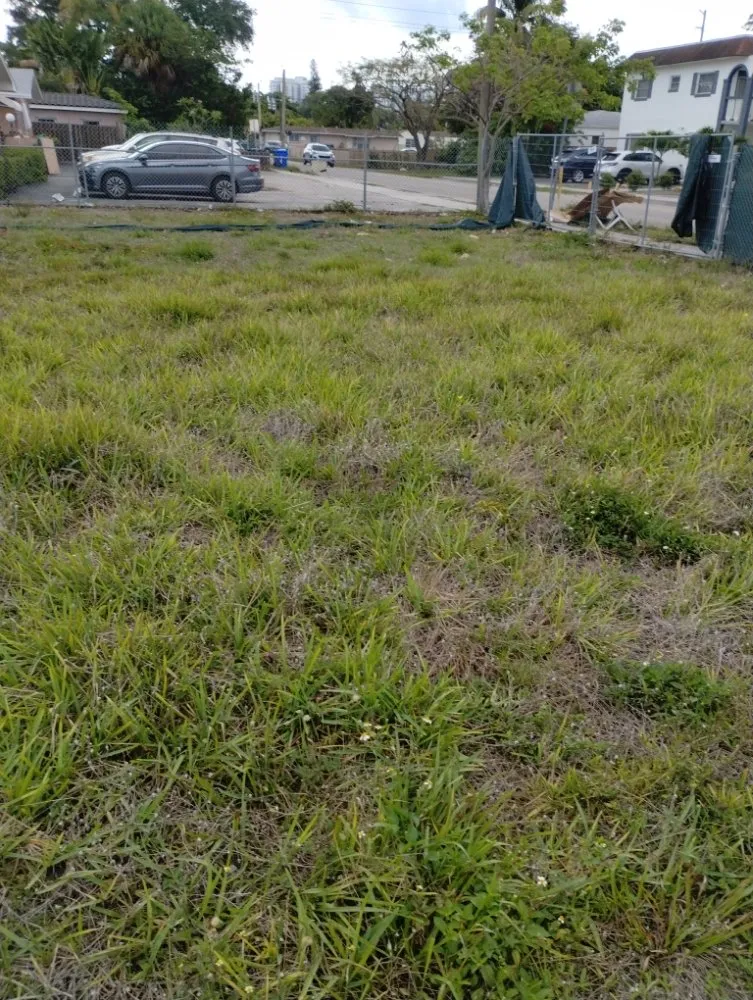 Top-rated outdoor landscaping near you across Miami, FL - One Way Lawn Care