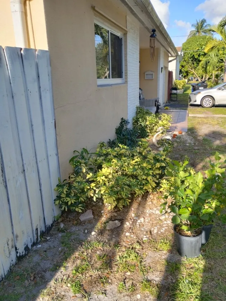 Trusted lawn care service experts serving Miami, FL - One Way Lawn Care