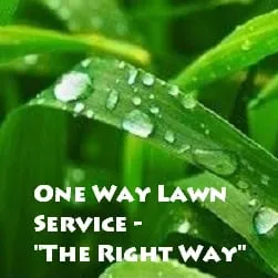 Local residential landscaping experts serving Georgetown, KY - One Way Lawn Service