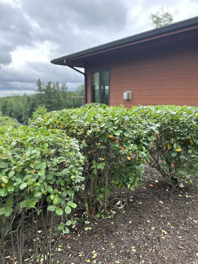 Reliable yard cleanup service in Wausau, WI by One Way Property Care