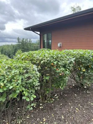 One Way Property Care Logo